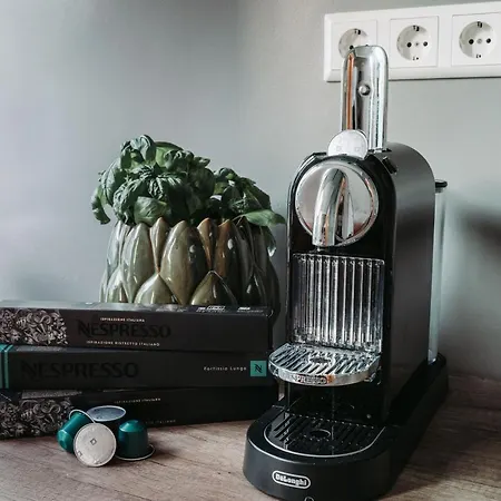 Apartment Stylisches City-apartment 56 M² *